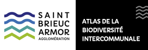 logo atlas